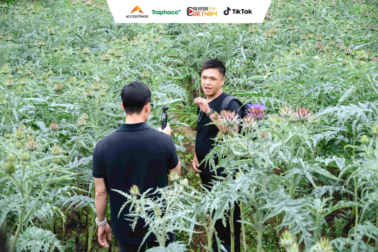 Các KOC theo chân nông dân xuống ruộng dược liệu Actiso
