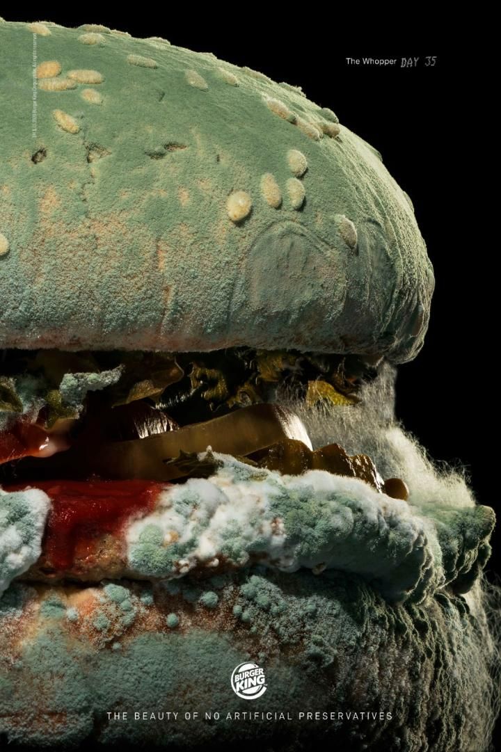 Moldy Whopper: Khi sự xuống cấp của sản phẩm trở th&agrave;nh bằng chứng cho gi&aacute; trị thương hiệu
