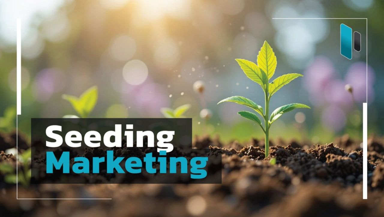 Seeding: Nghệ thuật gieo mầm hay sự lừa dối được ngụy trang?