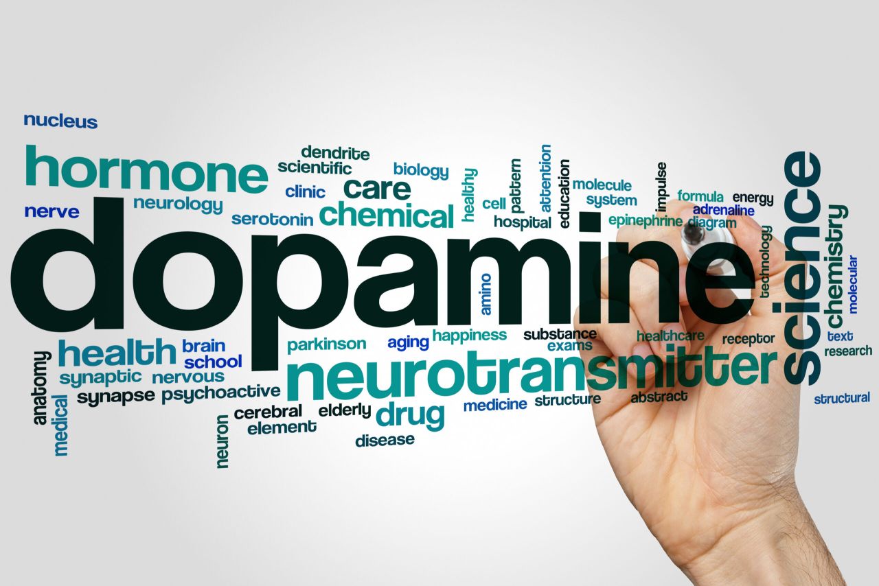 Cạm bẫy học m&agrave; như chơi: Khi Dopamine ảo đang thao t&uacute;ng tư duy của bạn
