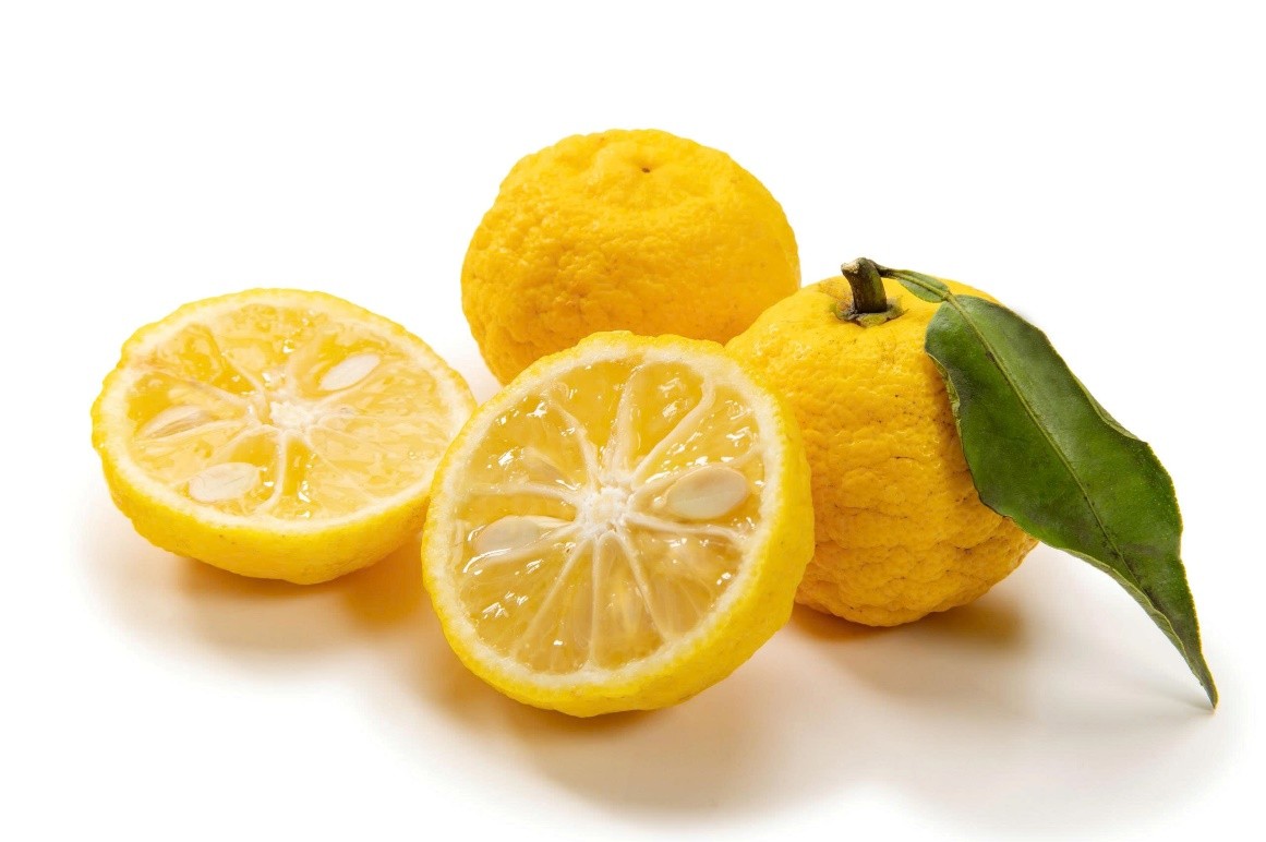 Trà Mật Ong BONCHA Chanh Nhật Yuzu – “tân binh” đáng gờm trong thị trường đồ uống đóng chai