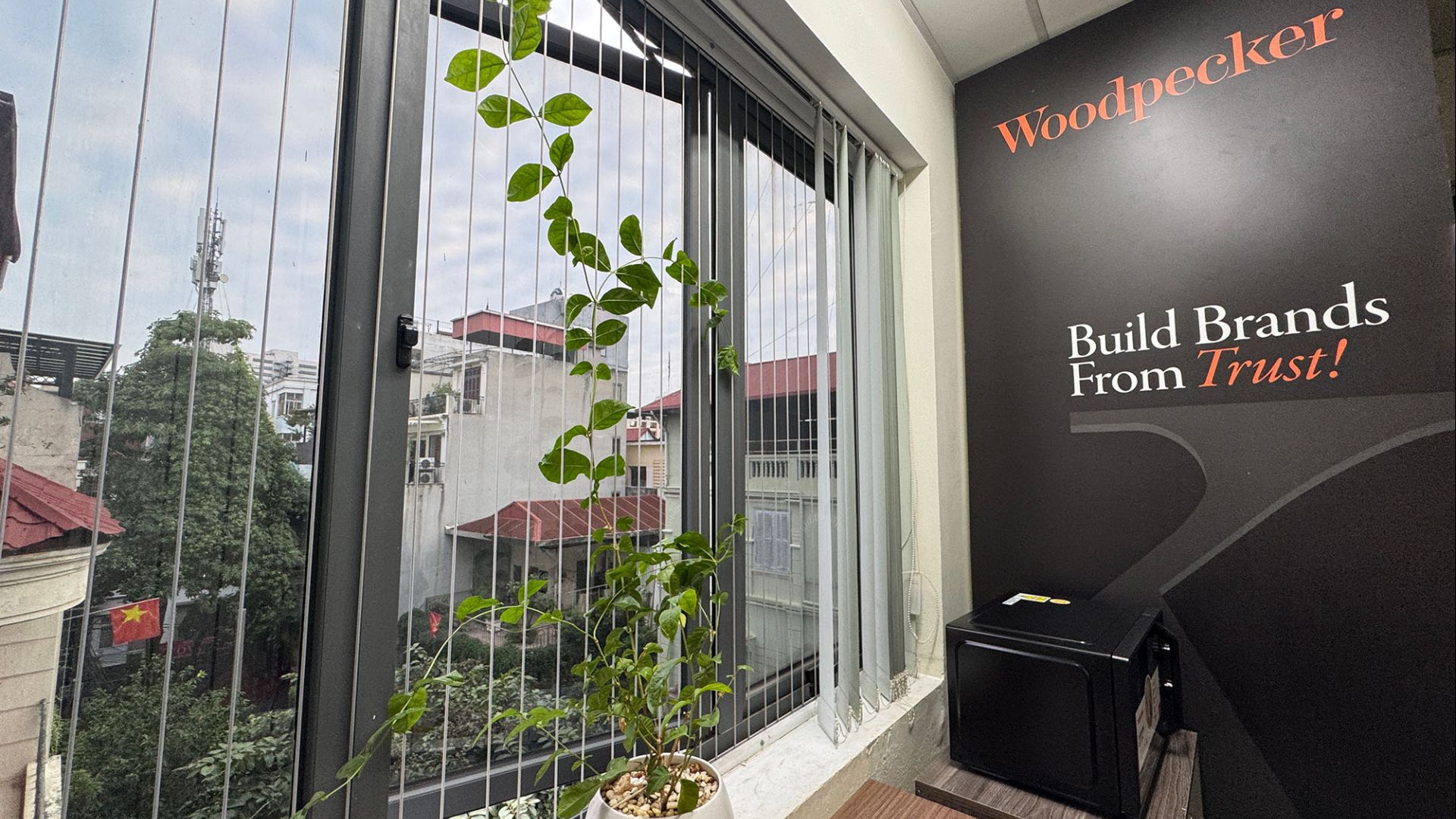 The Woodpecker Studio