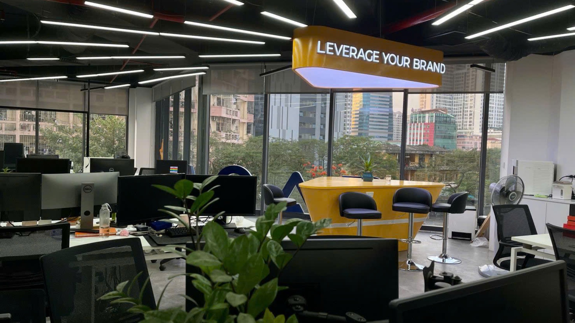 Sao Kim Branding