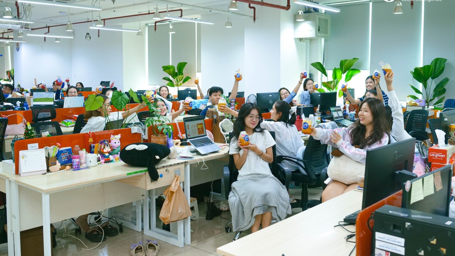 YouNet Group