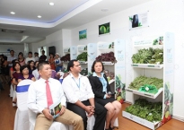 TH True VEG - Bước đi lùi của cửa hàng rau sạch mang thương hiệu TH?