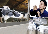 Trần Bảo Minh đầu quân về sữa Ba Vì không phải vì thu nhập