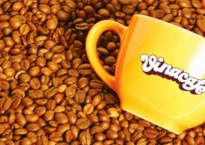 Những bước đi của cáo