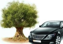 Chiếc Lexus, cây Ôliu và cái “tội” sính ngoại