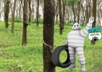 Mon men bên những người khổng lồ