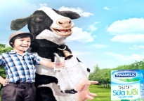 Chuyện về những “cô bò hạnh phúc” của Vinamilk