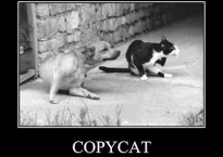 Copy-cat
