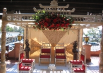Dựng backdrop sống động