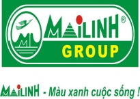 Mai Linh tái cấu trúc, huy động nghìn tỷ cứu taxi