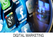 Digital Marketing Career Roadmap- Những nấc thang danh vọng- P.2