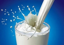 Những kẻ tí hon đối đầu Vinamilk, Cô gái Hà Lan