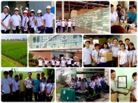 Ngược dòng An Giang và 56 câu chuyện xung quanh hạt gạo Việt