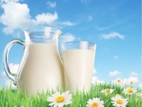 [Báo cáo] Ngành Sữa: Người dùng và Hoạt động Quảng cáo Trực tuyến