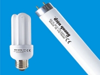 Chiến lược đa quốc gia của Điện Quang