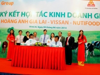 Nutifood, Vissan và Hoàng Anh Gia Lai hợp tác nuôi bò, chế biến sữa