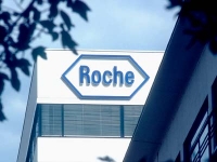Roche - Những điều bạn chưa biết