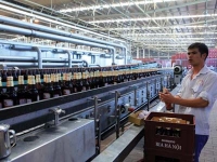 Dán tem bia: Nhiều ý kiến trái chiều