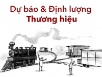 Bài toán Dự báo và Định lượng Thương hiệu