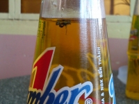 “Cuộc chiến” con ruồi trong chai nước