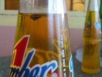 Tân Hiệp Phát nói gì về con ruồi trong chai nước?