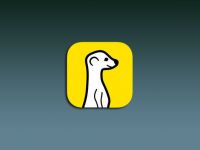 [Q&A] Meerkat - ‘Kẻ phá bĩnh’ đang tạo nên cơn sốt