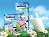 Vinamilk đang đàm phán mua nhà máy sữa ở châu Âu