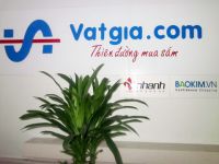 Chiến lược mới của Vật Giá