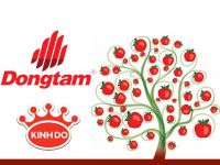 Đồng Tâm & Kinh Đô: Trồng cây sắp đến ngày hái quả