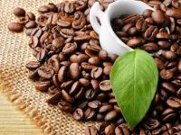 Ai đang lãnh đạo ngành cà phê Việt?