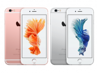 Lý do Apple chọn cá chọi làm linh vật cho iPhone 6s/6s Plus