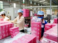 Thương vụ thâu tóm ngược cổ phần Nhật Bản ở Giấy Sài Gòn giờ ra sao?
