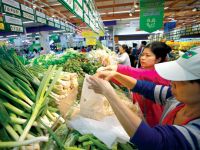 Thị trường bán lẻ: Doanh nghiệp nội chạy nước rút