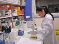 Ngành dược hấp dẫn nhà đầu tư