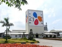 Vì sao CJ đi xây Cầu Tre?