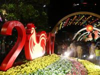 Đinh Dậu 2017: Chờ gà cất tiếng gáy