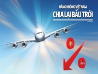 Hàng không Việt Nam chia lại bầu trời