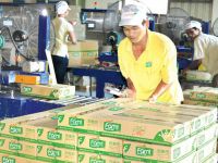 Lợi nhuận quý 1 Đường Quảng Ngãi tăng trưởng chậm, trái ngược với mảng sữa đậu nành