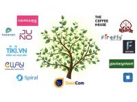 Seedcom thận trọng gieo giống