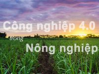 Công nghiệp 4.0 trong nông nghiệp: Không còn là hoang tưởng (chém gió) hay tuyên truyền