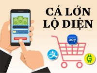 Thanh toán trực tuyến: Cá lớn lộ diện