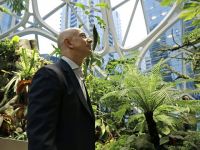 Văn phòng như khu rừng mini của tỷ phú Jeff Bezos