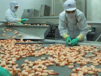 Sức hút của ngành công nghiệp chế biến thực phẩm Việt