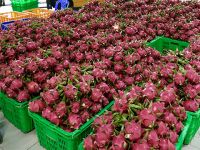 Hàng Việt dè dặt vào Thái