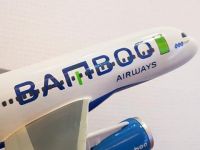 Phó Thủ tướng chỉ đạo về việc lập Hãng hàng không Bamboo Airways