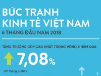 [Infographic] Bức tranh kinh tế 6 tháng đầu năm qua các chỉ số