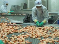 Thái Lan là nhà bếp thế giới, Việt Nam là gì?